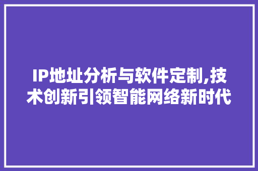 IP地址分析与软件定制,技术创新引领智能网络新时代