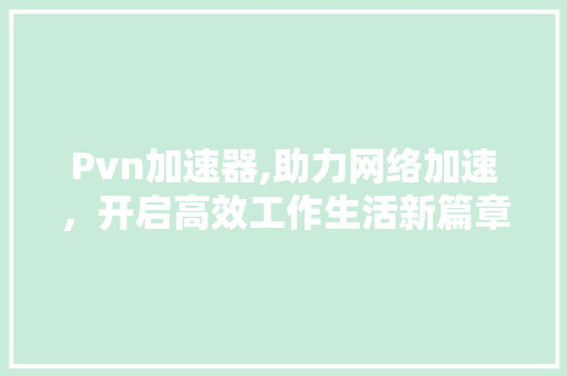 Pvn加速器,助力网络加速，开启高效工作生活新篇章