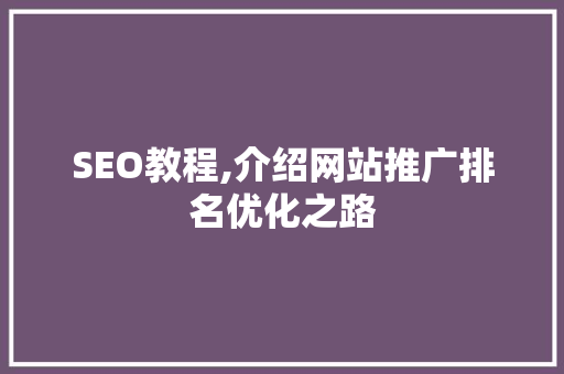 SEO教程,介绍网站推广排名优化之路