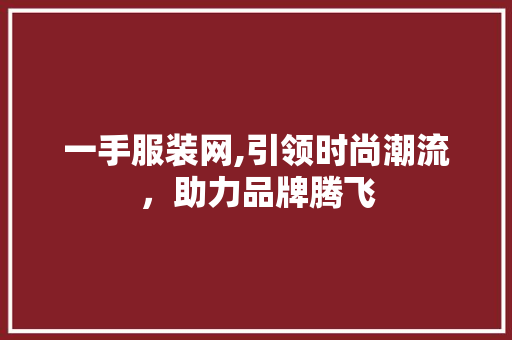 一手服装网,引领时尚潮流，助力品牌腾飞