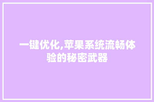 一键优化,苹果系统流畅体验的秘密武器