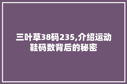 三叶草38码235,介绍运动鞋码数背后的秘密