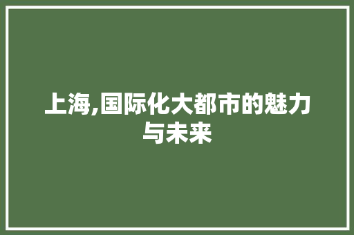 上海,国际化大都市的魅力与未来