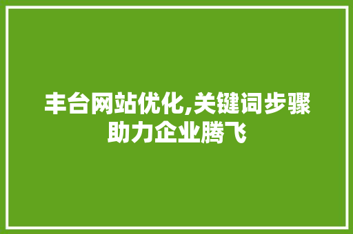 丰台网站优化,关键词步骤助力企业腾飞