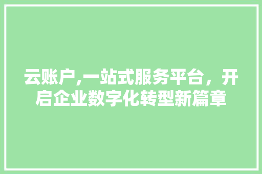 云账户,一站式服务平台，开启企业数字化转型新篇章