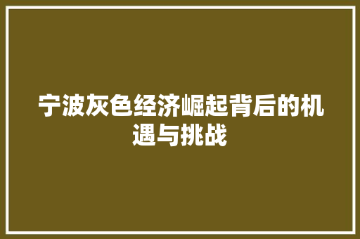 宁波灰色经济崛起背后的机遇与挑战