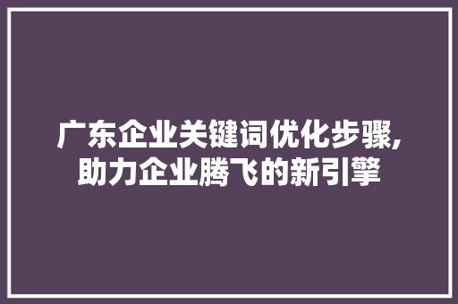 广东企业关键词优化步骤,助力企业腾飞的新引擎