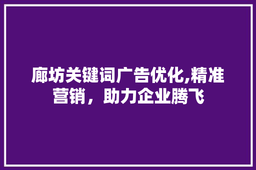廊坊关键词广告优化,精准营销，助力企业腾飞
