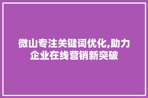 微山专注关键词优化,助力企业在线营销新突破