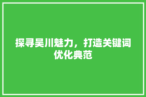 探寻吴川魅力，打造关键词优化典范
