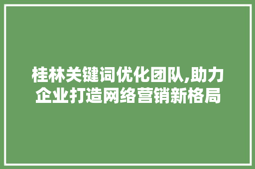 桂林关键词优化团队,助力企业打造网络营销新格局
