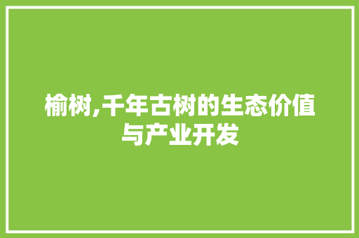 榆树,千年古树的生态价值与产业开发