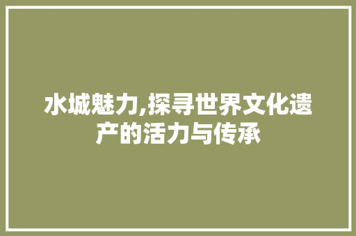 水城魅力,探寻世界文化遗产的活力与传承