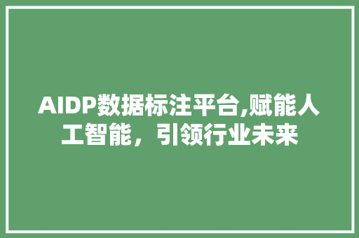 AIDP数据标注平台,赋能人工智能，引领行业未来