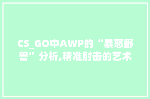 CS_GO中AWP的“暴怒野兽”分析,精准射击的艺术与步骤