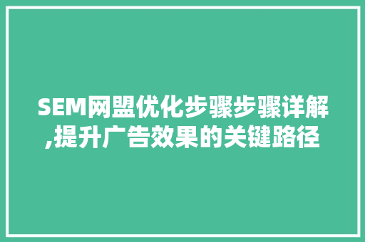 SEM网盟优化步骤步骤详解,提升广告效果的关键路径