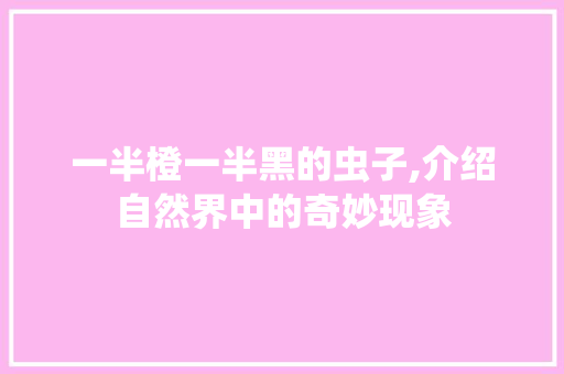 一半橙一半黑的虫子,介绍自然界中的奇妙现象