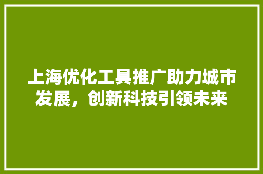 上海优化工具推广助力城市发展，创新科技引领未来