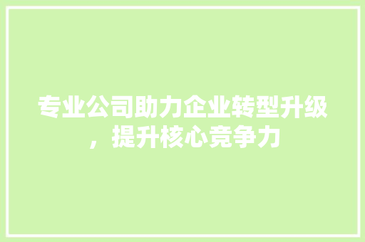 专业公司助力企业转型升级，提升核心竞争力