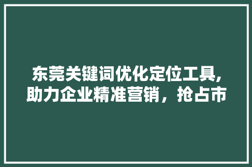 东莞关键词优化定位工具,助力企业精准营销，抢占市场先机