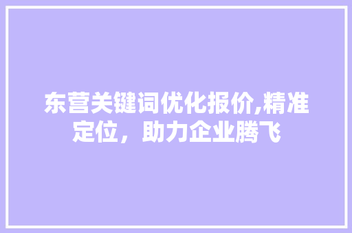 东营关键词优化报价,精准定位，助力企业腾飞