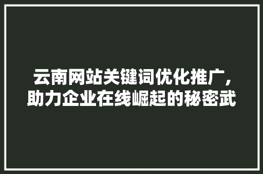 云南网站关键词优化推广,助力企业在线崛起的秘密武器