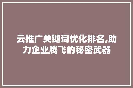 云推广关键词优化排名,助力企业腾飞的秘密武器