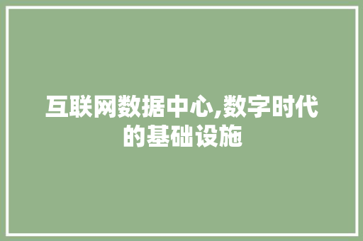 互联网数据中心,数字时代的基础设施