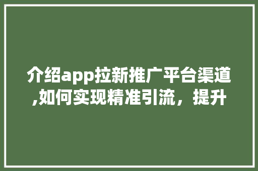 介绍app拉新推广平台渠道,如何实现精准引流，提升用户增长