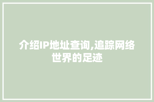介绍IP地址查询,追踪网络世界的足迹