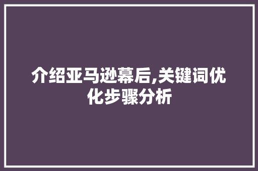 介绍亚马逊幕后,关键词优化步骤分析