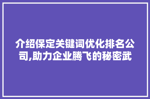 介绍保定关键词优化排名公司,助力企业腾飞的秘密武器