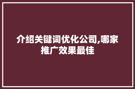 介绍关键词优化公司,哪家推广效果最佳