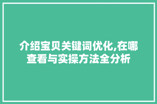 介绍宝贝关键词优化,在哪查看与实操方法全分析