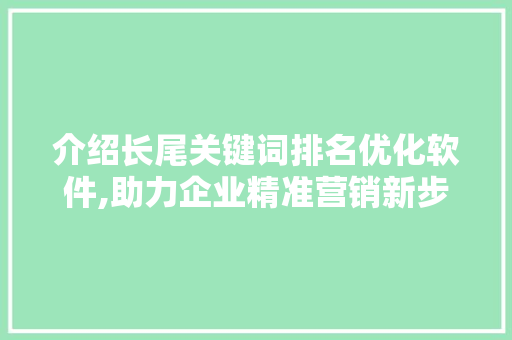 介绍长尾关键词排名优化软件,助力企业精准营销新步骤