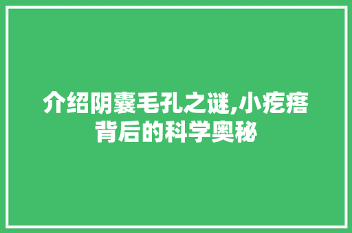 介绍阴囊毛孔之谜,小疙瘩背后的科学奥秘