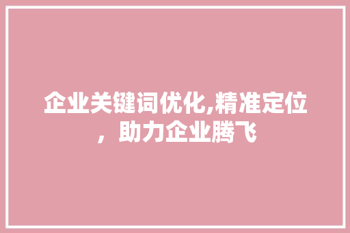企业关键词优化,精准定位，助力企业腾飞