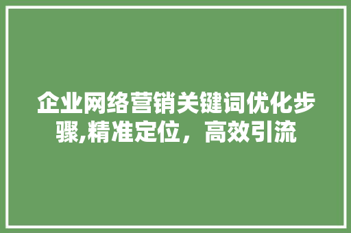 企业网络营销关键词优化步骤,精准定位，高效引流