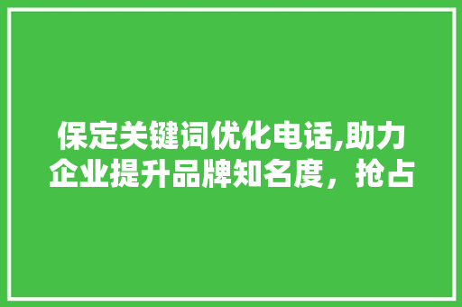 保定关键词优化电话,助力企业提升品牌知名度，抢占市场先机