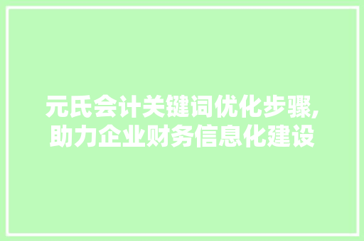 元氏会计关键词优化步骤,助力企业财务信息化建设