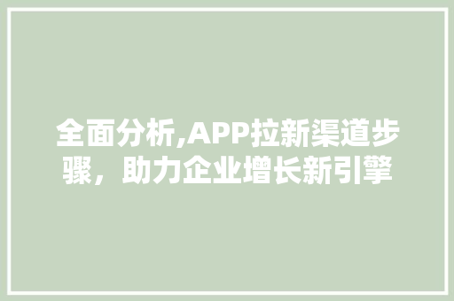 全面分析,APP拉新渠道步骤，助力企业增长新引擎