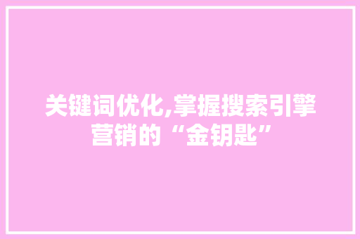 关键词优化,掌握搜索引擎营销的“金钥匙”