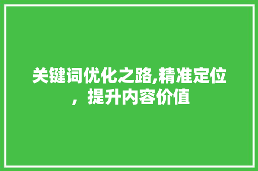 关键词优化之路,精准定位，提升内容价值