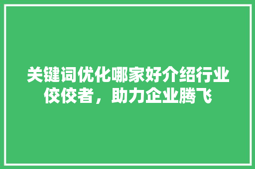 关键词优化哪家好介绍行业佼佼者，助力企业腾飞