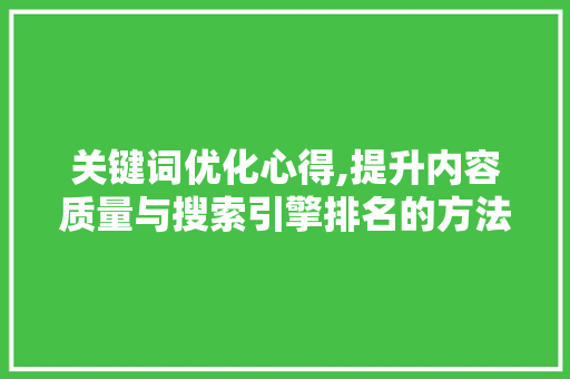 关键词优化心得,提升内容质量与搜索引擎排名的方法