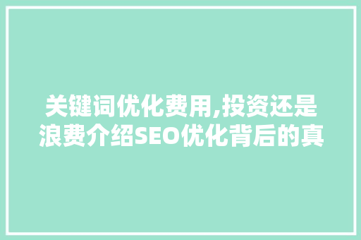 关键词优化费用,投资还是浪费介绍SEO优化背后的真相
