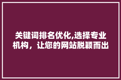 关键词排名优化,选择专业机构，让您的网站脱颖而出