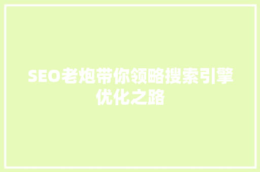 SEO老炮带你领略搜索引擎优化之路