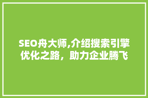 SEO舟大师,介绍搜索引擎优化之路，助力企业腾飞