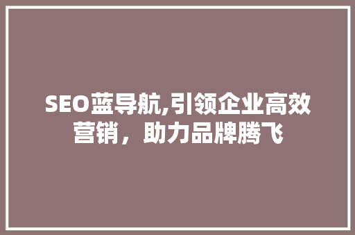 SEO蓝导航,引领企业高效营销，助力品牌腾飞